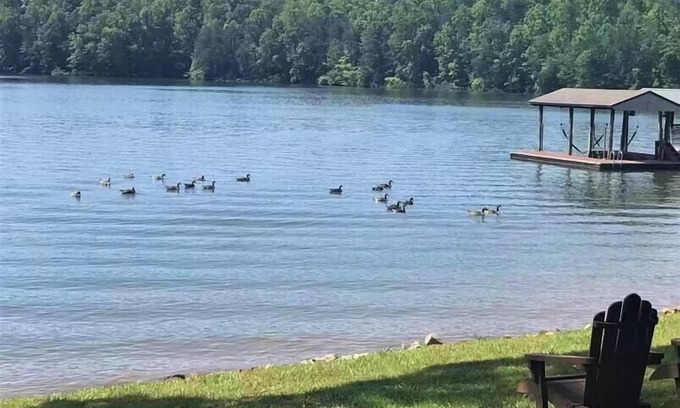 Smith Mountain Lake Casa | Quiet Family/Pet Lakeside Stay - Flat Lot!