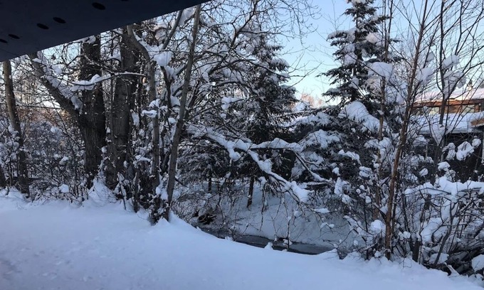 Northeast Anchorage Casa | Quiet Gem, right on a creek. Newley Renovated.