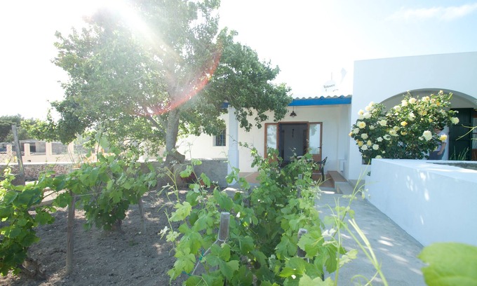 Formentera Cabaña | Tranquila casa situada en el punto mas alto de Formentera