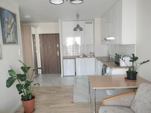Krowodrza Apartamento | Quiet in the City Wrocławska