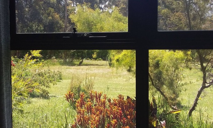 Porongurup Casa | Retiro rural tranquilo.