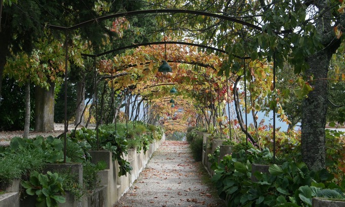 Cumieira Otro | Quinta da Cumieira