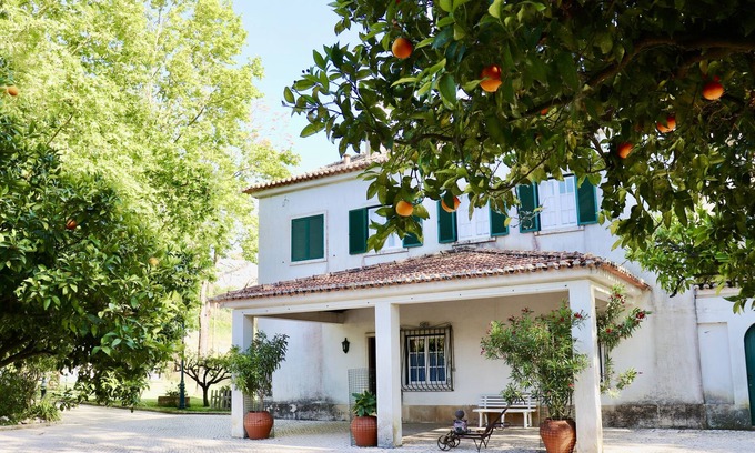 Carvalhal Benfeito Villa | Quinta da Barreira - Villa excepcional situada en un hermoso viñedo