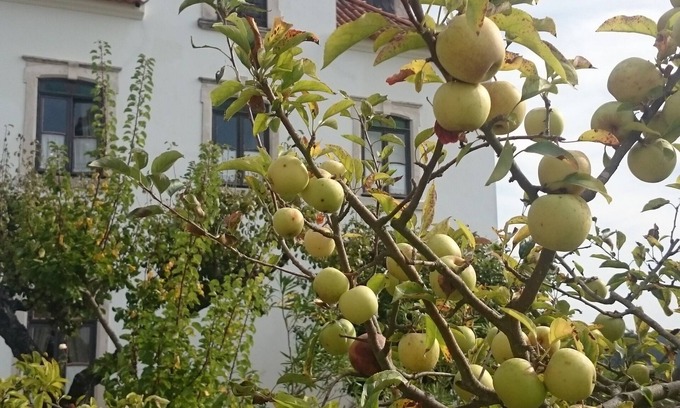 Cacia Cama Y Desayuno | Quinta da Vila Francelina