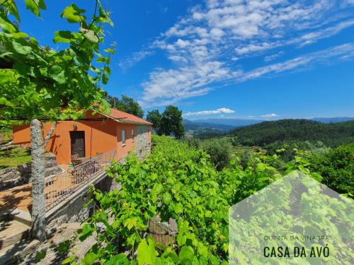 Bico Casa | Quinta da Vinagra