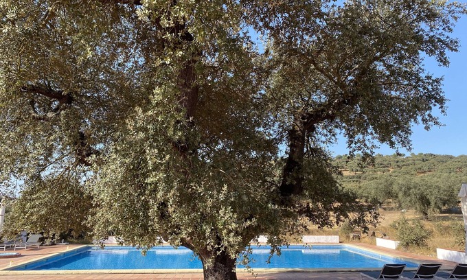 Vaiamonte Casa | Quinta dos Amarelos