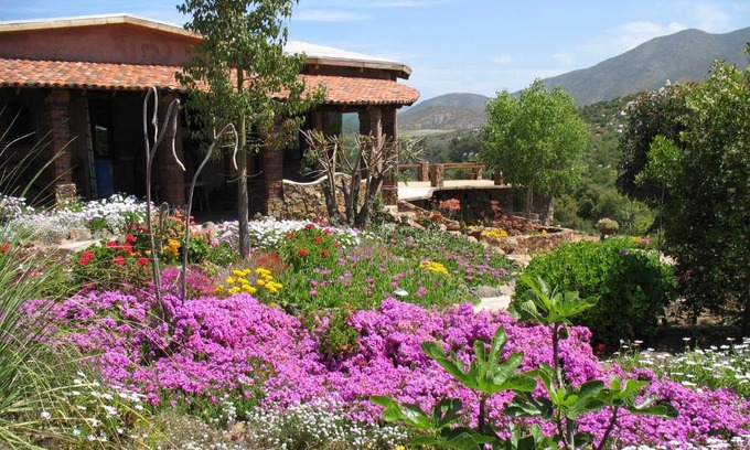 San Antonio de las Minas Cama Y Desayuno | Quinta Maria en la Ruta del Vino