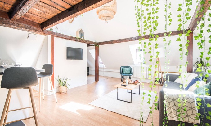 Krutenau Apartamento | R- Apartments Strasbourg: La Petite Cathédrale downtown 4 people