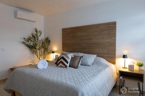 Aguascalientes Casa | R - Casa Privada - Alegria Housing