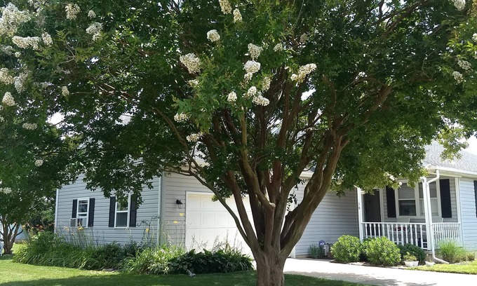 Maplewood Apartamento | Radcliffe Retreat near Rehoboth Beach with Pool