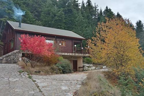 Gortynia Chalet De Esquí | Rados chalet