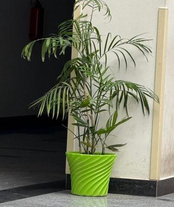 Haraiya Casa | Raghuvar Residency