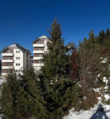 Lisina Apartamento | Ramondia, Kopaonik