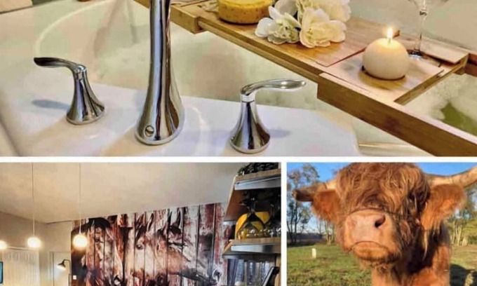 Selbyville Casa | 🌟Ranch Stay- Farm Animals, Jacuzzi, Arcade, Beaches🌟