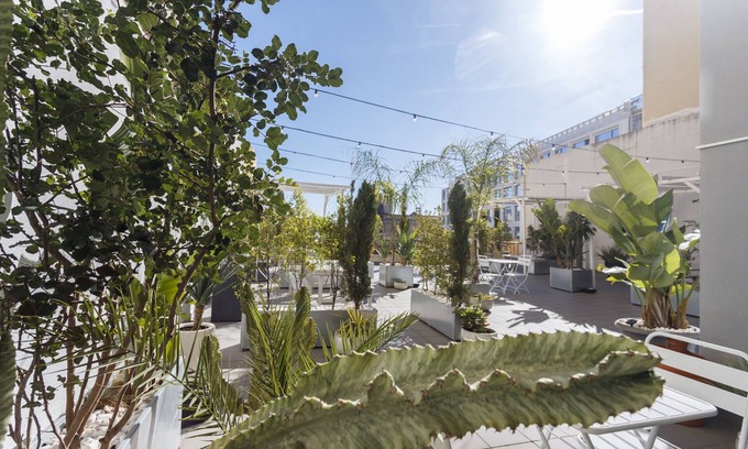 Santo Antonio Apartamento | Red, Red Wine in Lisbon by Misha's Place (3B)