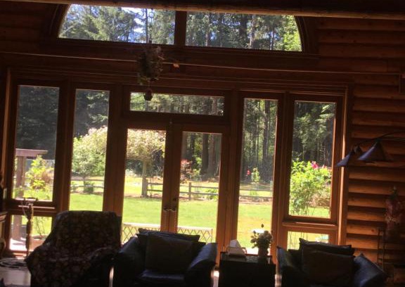 Crescent City Casa | Redwood forest