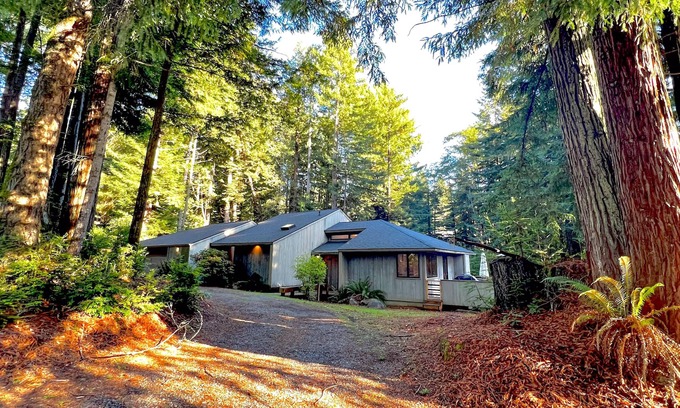 Crescent City Casa | Redwood retreat with large deck, grill, AC, & art collection - dog-friendly