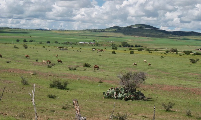 Cuauhtemoc Cabina | "Refugio en la Naturaleza: Cabaña Independiente para tu Estancia Perfecta"