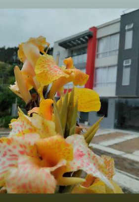 Duitama Apartamento | Refugio Flores de María