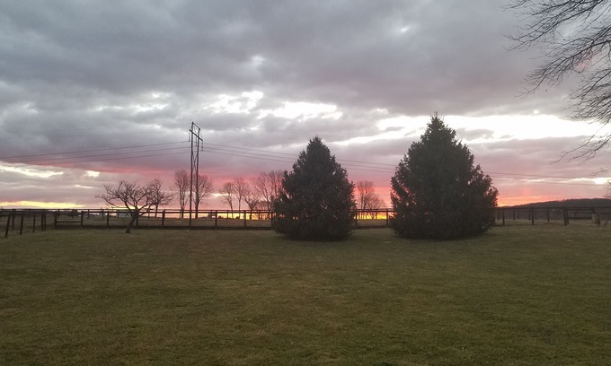 York Casa | Amanecer en Wilson ~~~