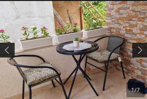 Leskovac Apartamento | Relax apartman 01