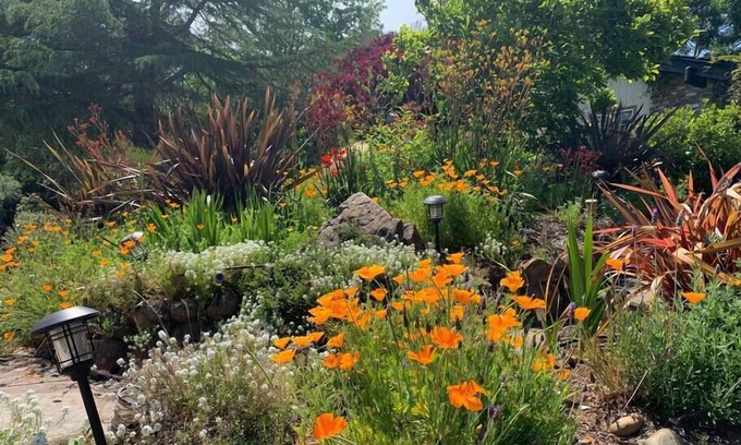 Santa Cruz Casa | Relax in a Landscaped Paradise w/ 4Bdr Home, Amazing Santa Cruz Landscaped paradise