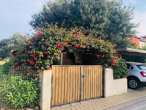 Olbia Apartamento | Relax in Olbia Apartment with Private Garden 2 Bedrooms