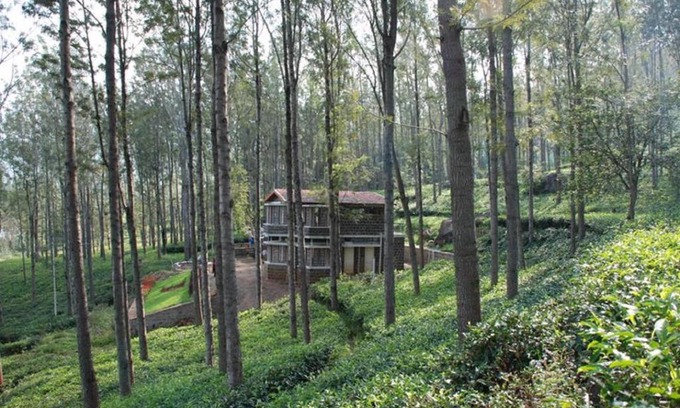 Masinagudi Casa | Relaxing 2 B/R Estate House, Deenaty, Tamil Nadu