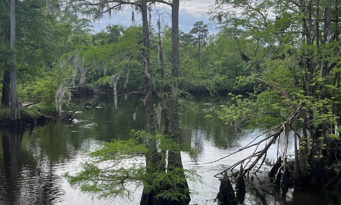 Willard Apartamento | Relaxing Black River- Riverfront Retreat