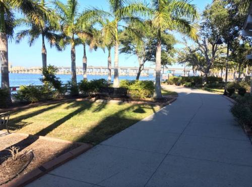 Palmetto Casa | Relaxing Pool Side - Near Fairgrounds