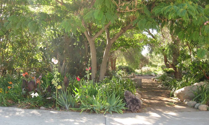 Santa Ynez Casa | Casa familiar con un hermoso jardín y gallinas para mascotas