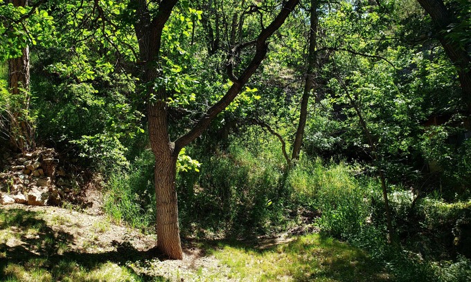 Rapid City Cabina | Remodeled home in the woods, just past city limits. With horse pasture nearby!