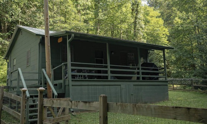 Franklin Cabina | REMOTE, Cheerful Mountain Cabin with hot tub in Franklin, NC.