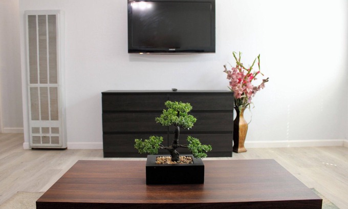 Upper B Street Apartamento | Renovated 2BR Castro Valley Apartment Near BART and Parking