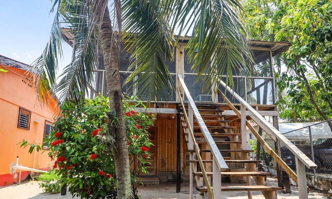 Placencia Cabina | Acogedora cabaña renovada cerca de la playa con porche y hamaca seleccionados