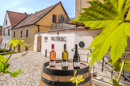 Valtice Complejo | Resort Valtberg Valtice