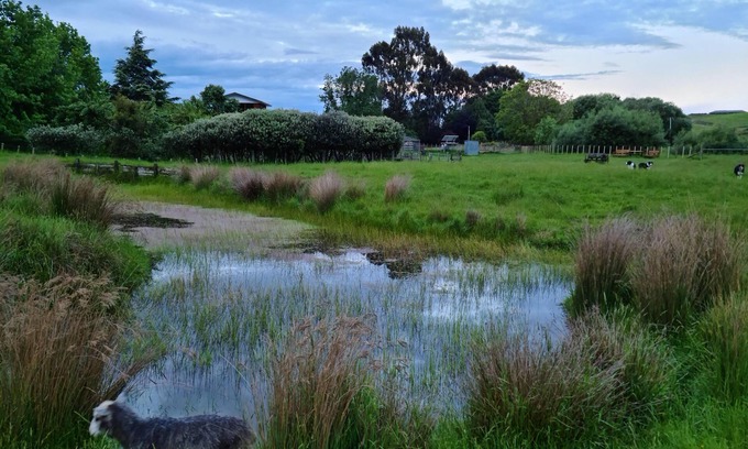 Cheltenham Apartamento | Retírese a la granja y disfrute del arbusto y el arroyo nativos.