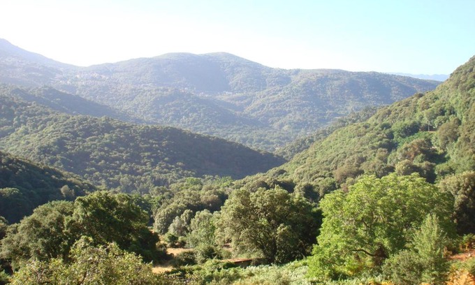 Loreto-di-Tallano Apartamento | Rez de Villa