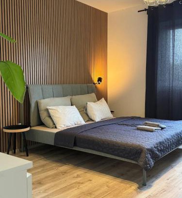 Ostrava Apartamento | Rezidence MAHENOVA 1