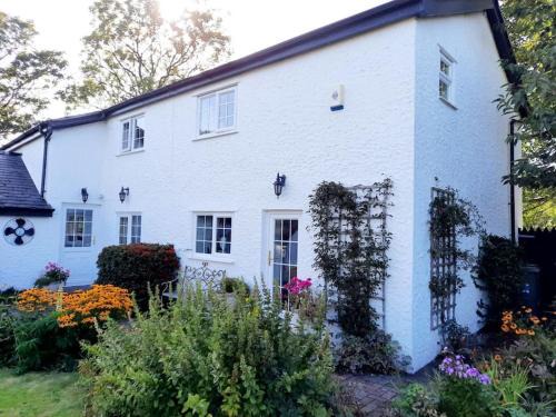 Bodorgan Casa | Rhos y Bel Cottage Angelsey