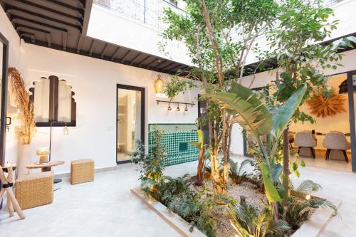 Kasbah Casa | Riad Wadiya, privatif, piscine en rooftop.