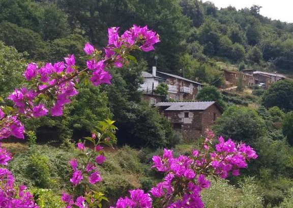 Panton Casa | Ribera Sacra (apartamento Rural)