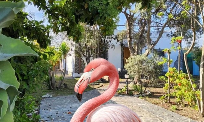 Province of Cagliari Casa | Right in the Molentargius Nature Park, a stone's throw from the sea and the town