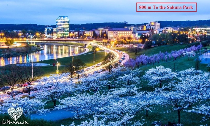 Business District Apartamento | River to the City - Studio 8 apartment