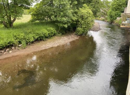 Egremont Casa | Riverbank Cottage River Ehan Double Balcony