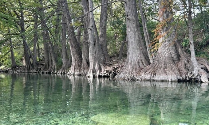 Uvalde County Cabina | Riverbend on the Frio Cabin 2