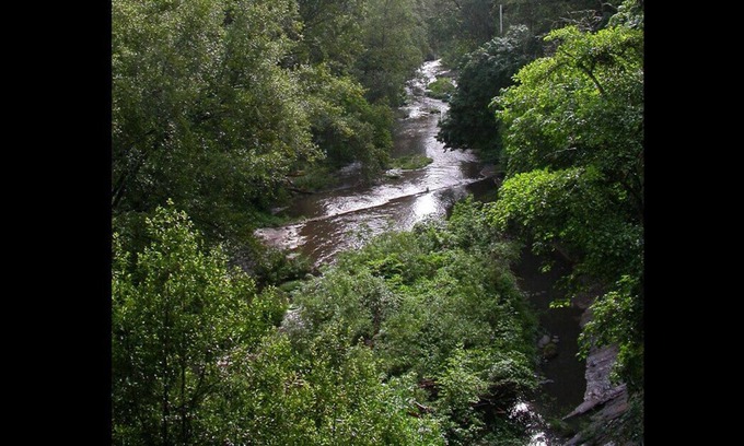 Ben Lomond Apartamento | RiverFront TREEHOUSE ANTIGUO REDWOODS STUDIO ~ ¡VISTAS INCREÍBLES! DUCHA AL AIRE LIBRE !!