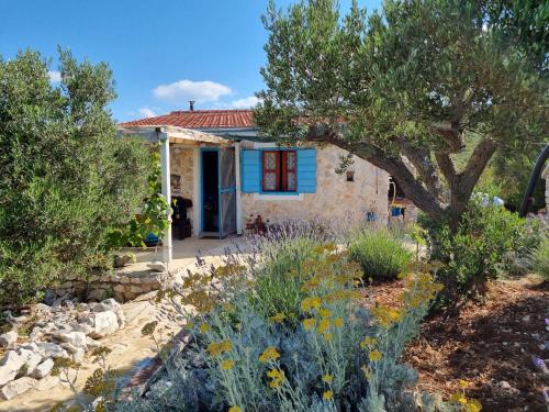 Dobropoljana Casa | Robinson house Ruža