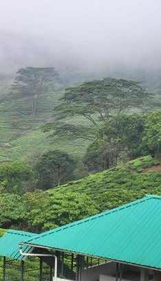 Vagamon Casa | Rock Villa