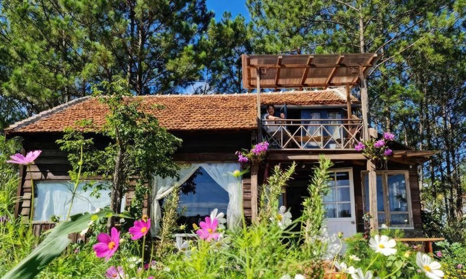 Da Lat Chalet De Esquí | Romantic house on a pine hill Dalat